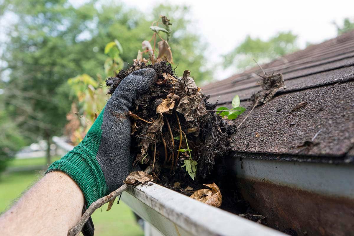 The Importance of Regular Gutter Cleaning: Preventing Water Damage to Your Home